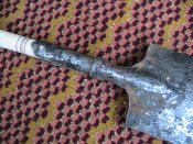 IMG_1095.jpg