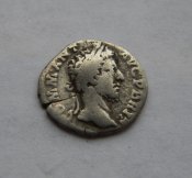 DSCN4684.jpg
