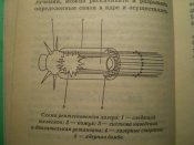 P1010041.JPG