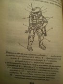 P1010071.JPG