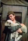 gary_burghoff2.jpg