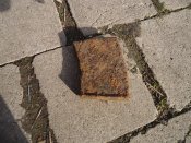 DSC01265.JPG