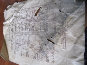 IMG_3875[1].JPG