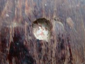 DSC01023.jpg