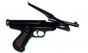 spp02.jpg