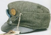 maz 2.jpg