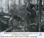 0_459da_3137cfcf_XL.jpg