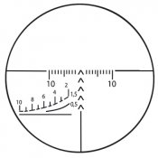 29--_enl.jpg