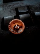 20150320182447.jpg