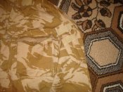DSC00644.JPG