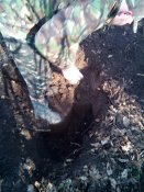 20150321091146.jpg