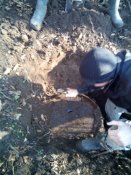20150321091433.jpg