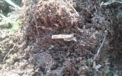 20150321_143833.jpg