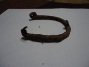 DSC01278.JPG