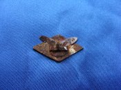 DSC04828.JPG