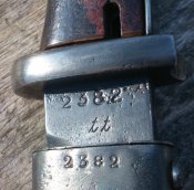 95515104.p.500.500.0.jpg
