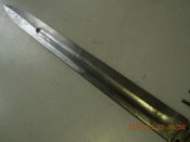 DSCN1508.JPG
