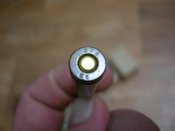 DSCN5564.JPG