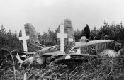 FIAT BR 20 99 Gruppo BoB_1.jpg