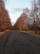 Копия P1010039.JPG