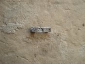 DSC08154.JPG