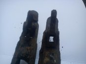 DSC00015_1.jpg