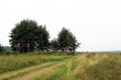 Дорога1.jpg