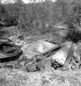 569px-Turretless_King_Tiger_Normandy Vimoutiers .jpg