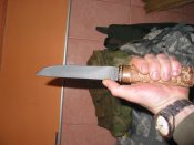 IMG_1187.jpg