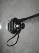 IMG_3134 (Large).JPG