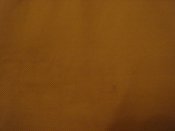 DSC00772.JPG