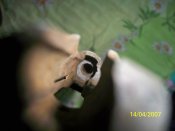 100_0469.jpg