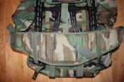 IMG_4563_1.jpg