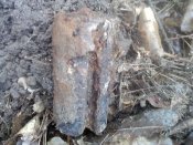 P29-03-15_12.34.jpg