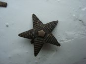 DSC05986.JPG