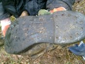 31052010063.jpg