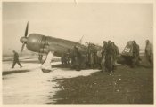 IAR 80.JPG