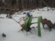 2015-03-31 17.17.49.jpg