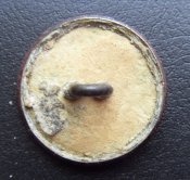 SDC13100.JPG