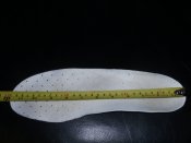 DSCI3897.JPG