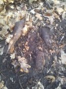 20150324_152845.jpg