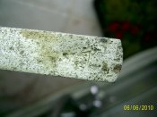 PIC_0708.jpg