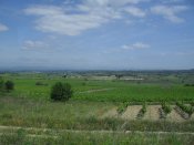 SDC10448.JPG