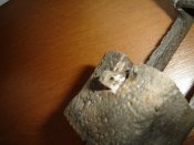 DSC00603.JPG