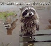 YA-izvinyayus-u-Vas-fen-est.jpg