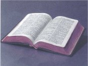 Bibel-1.jpg