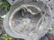 DSC00681__Small_.JPG