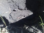080620104366.jpg