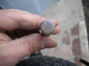 DSCN7835.JPG