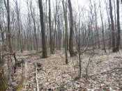 DSCN3079.JPG